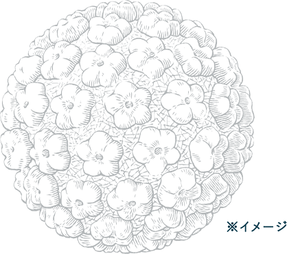 ヒトパピローマウイルス Human Papilloma Virus(HPV)