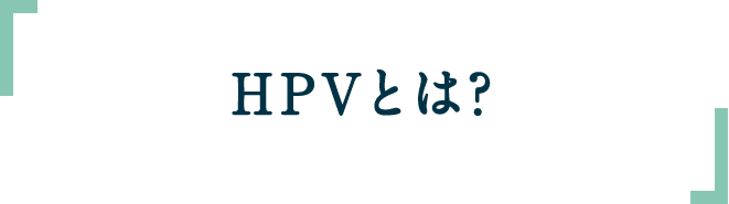 HPVとは？
